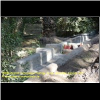 29580 05 0066 Dattelpalmen-Plantage, Al Ain, Abu Dhabi, Emirate 2017.jpg